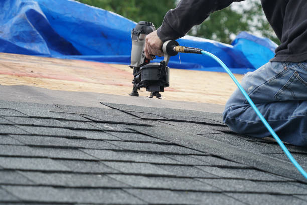 Best Roof Leak Repair  in Williamsburg, OH